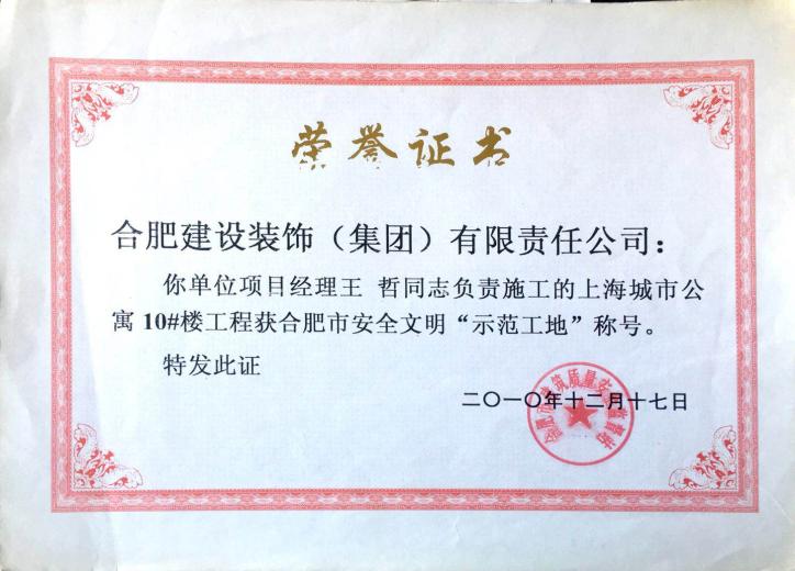 2010年合肥市清静文昭树模工地--上海公寓10#楼