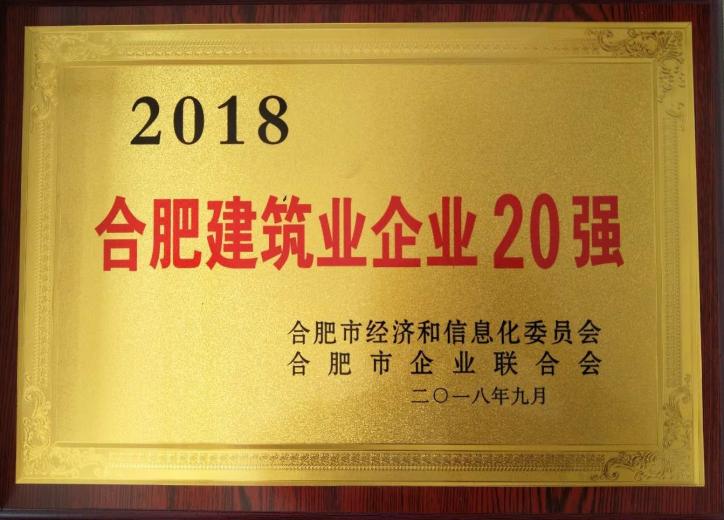 2018合肥修建业企业20强