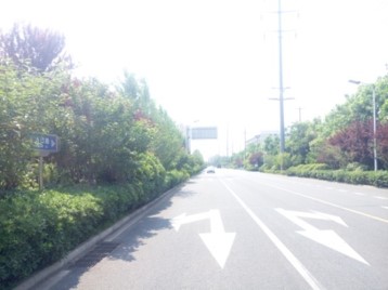 汤口路（青龙潭路-天都路）刷新工程。。