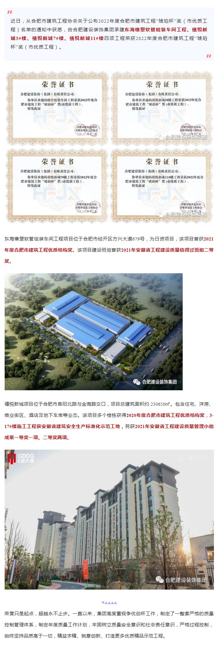 喜报丨集团再添四项“琥珀杯”！