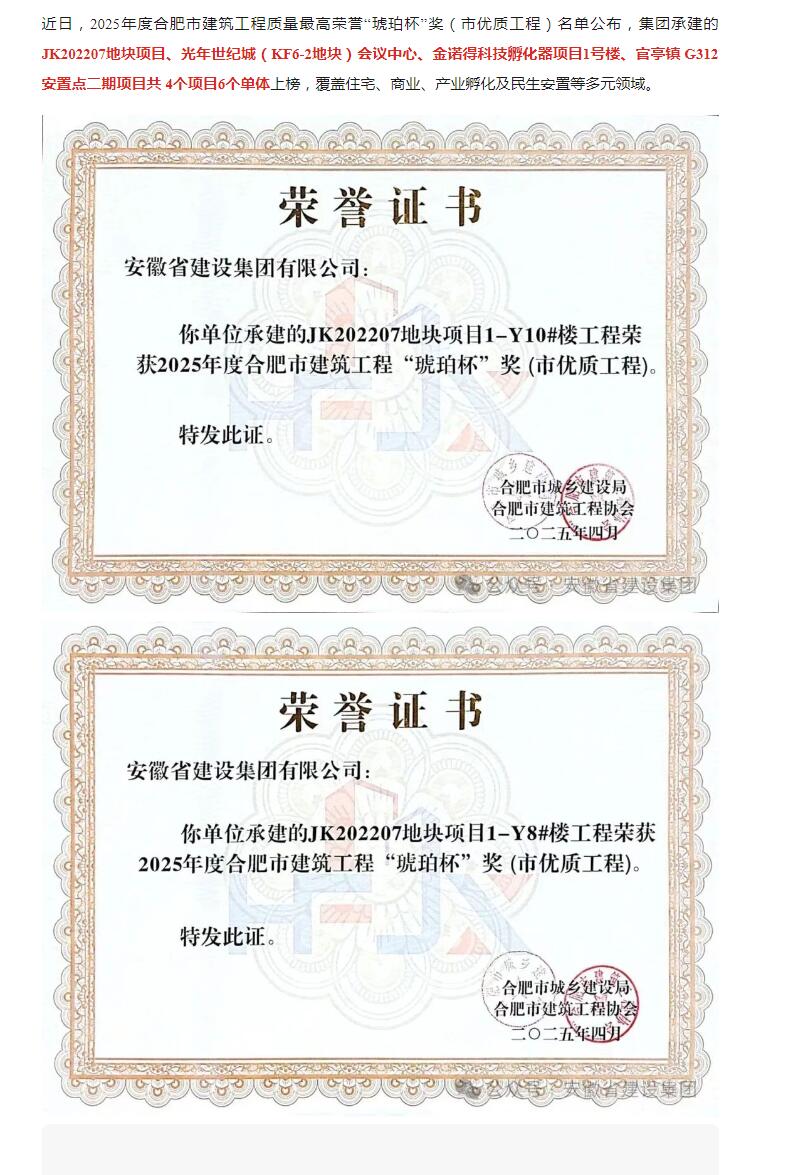 喜报丨集团再添六项“琥珀杯”！